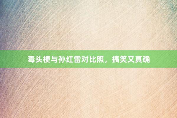 毒头梗与孙红雷对比照，搞笑又真确